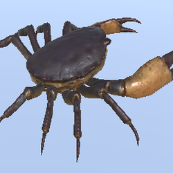 Caption Crab Alt